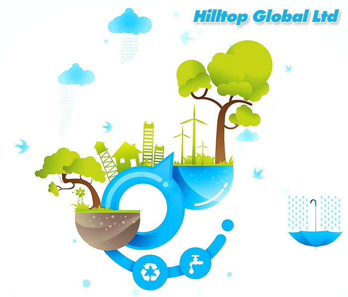 About Hilltop Global Ltd